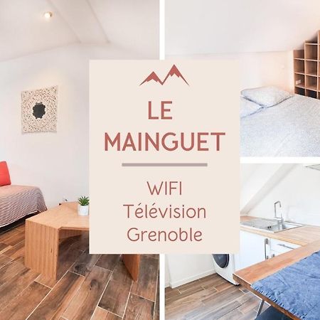 Le Mainguet - Appartement Cosy - Grenoble Dış mekan fotoğraf